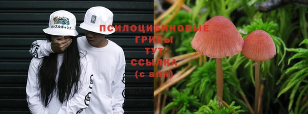 мет Балахна