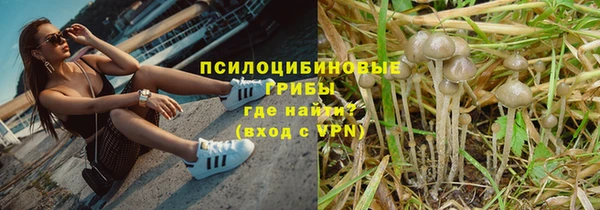гашиш Арсеньев
