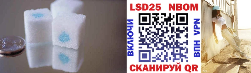 где купить наркотик  дарк нет как зайти  LSD-25 экстази ecstasy  Карачев 