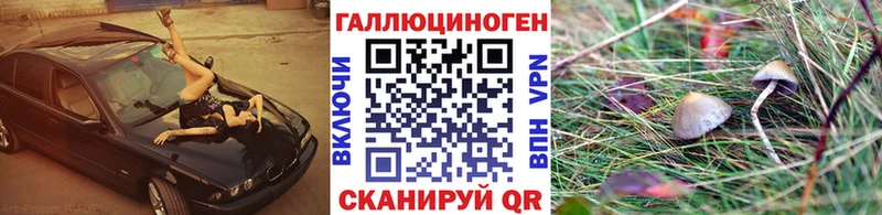 Галлюциногенные грибы GOLDEN TEACHER  Карачев 